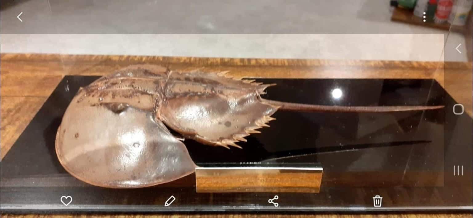 Image #1 from Gordon White