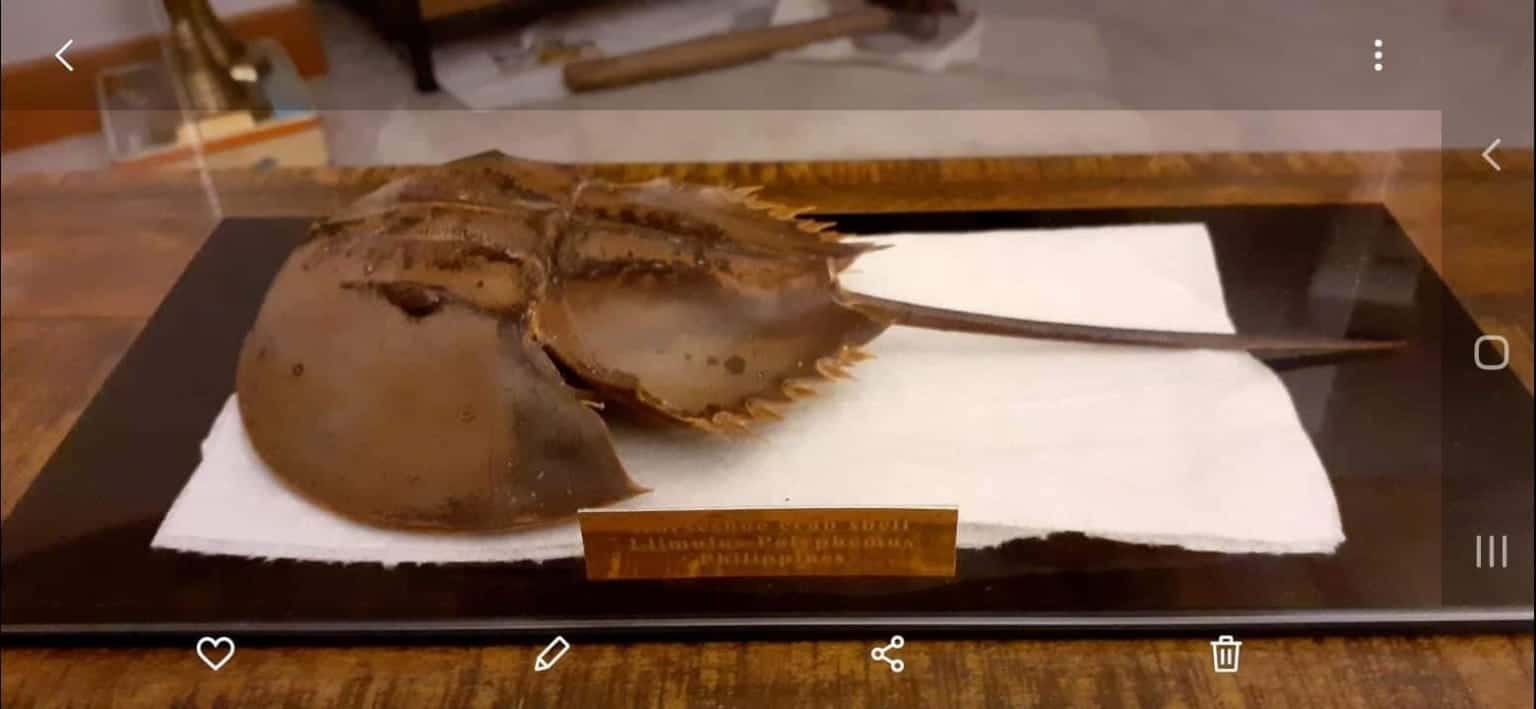 Image #2 from Gordon White