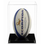 Display Case for a Rugby Ball with a Modern Base (Choice of Base Colours)