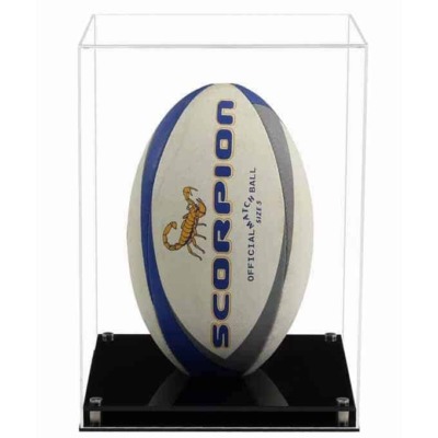 Display Case for a Rugby Ball with a Modern Base (Choice of Base Colours)