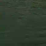 Image showing moss green baize centre covering for central display area of wooden base